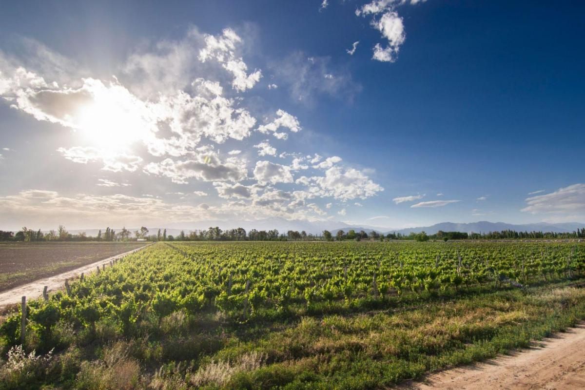 Cottage de Los Andes