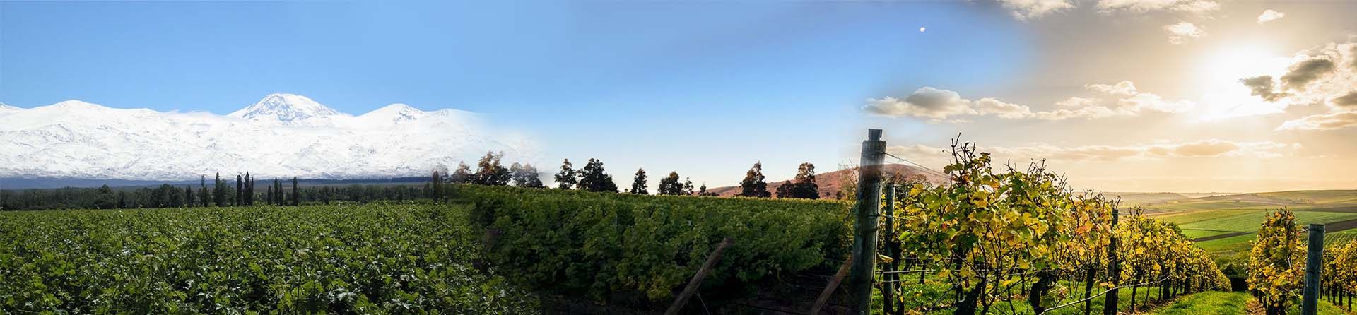 Cottage De Los Andes