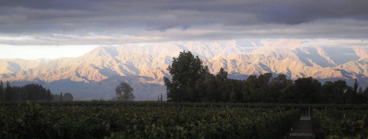 Finca José Antonio Blanco