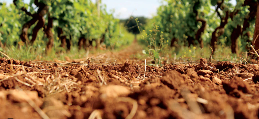 Agroecological Agriculture